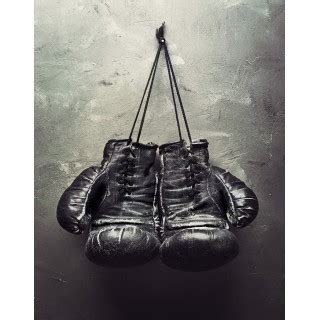 boxing metal prints|Boxing Metal Prints and Boxing Metal Art .